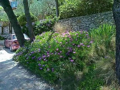 Apartman Mladen